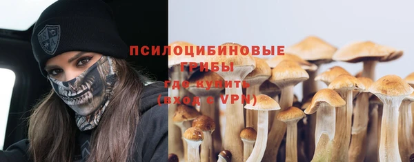 СК Магас