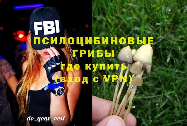 СК Магас