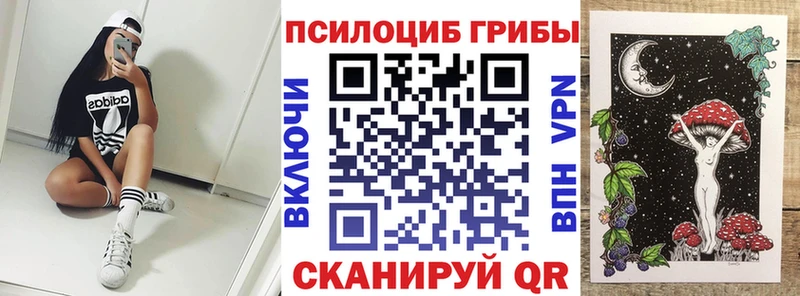 Псилоцибиновые грибы Psilocybe Красноярск